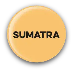 Sumatra Inteligência Ambiental