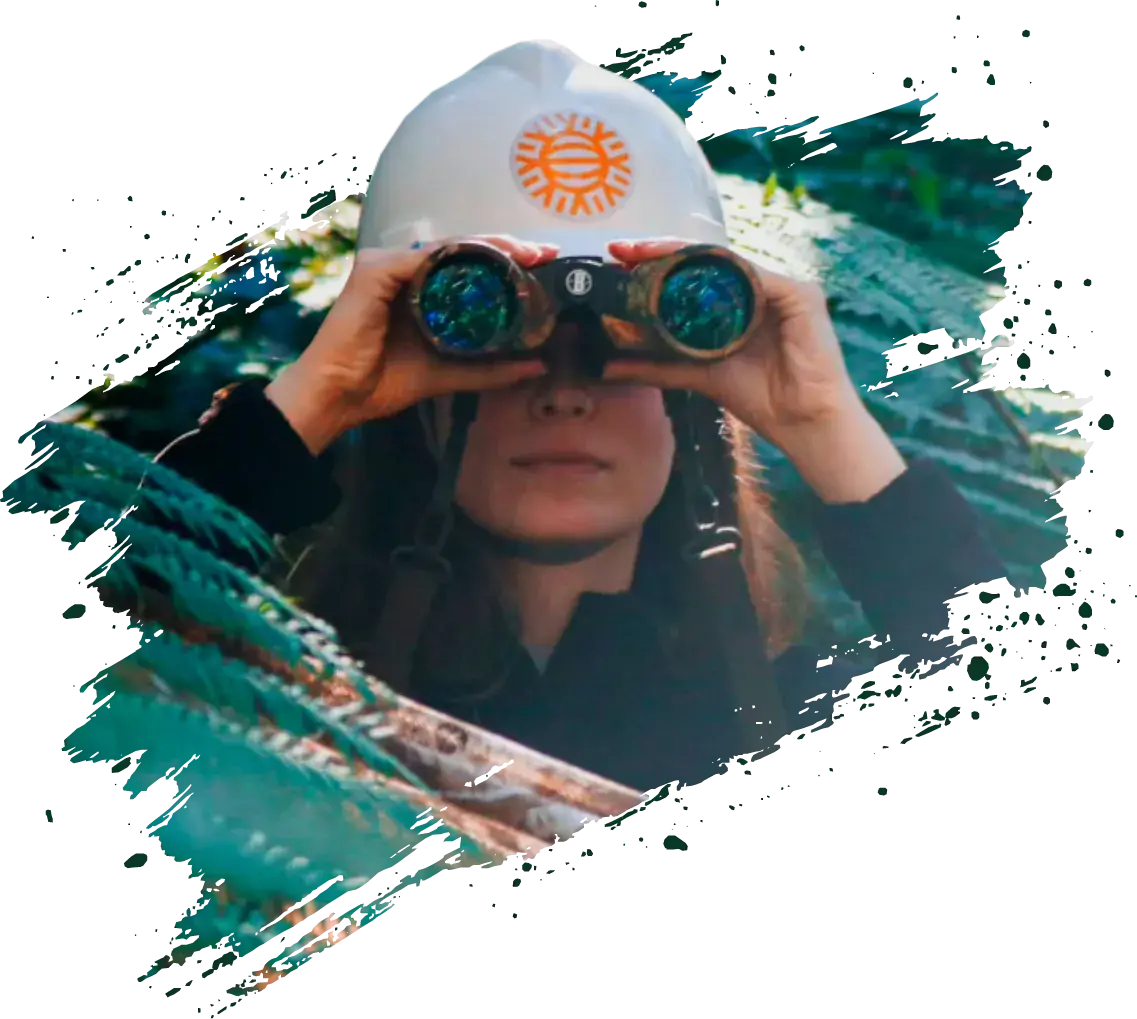 Sumatra Inteligência Ambiental