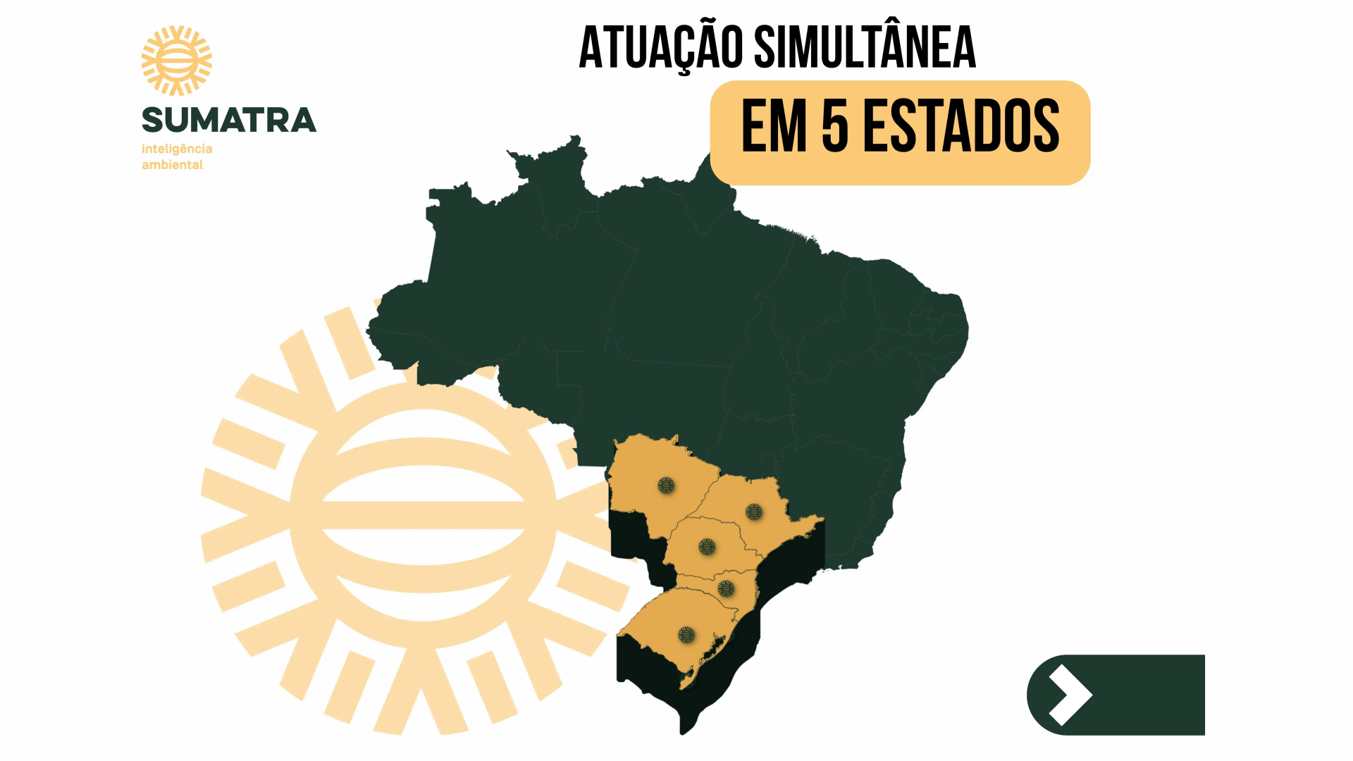 Geral Atuação da SUMATRA em 5 estados de maneira simultânea