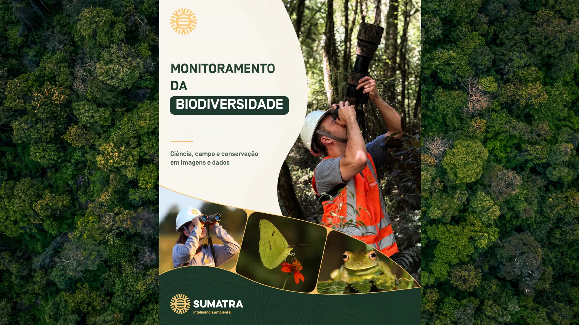 Geral Monitoramento da Biodiversidade Executado pela SUMATRA