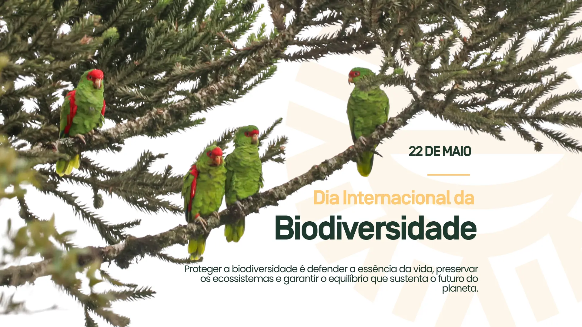 Geral Dia Internacional da Biodiversidade | Sumatra Inteligência Ambiental