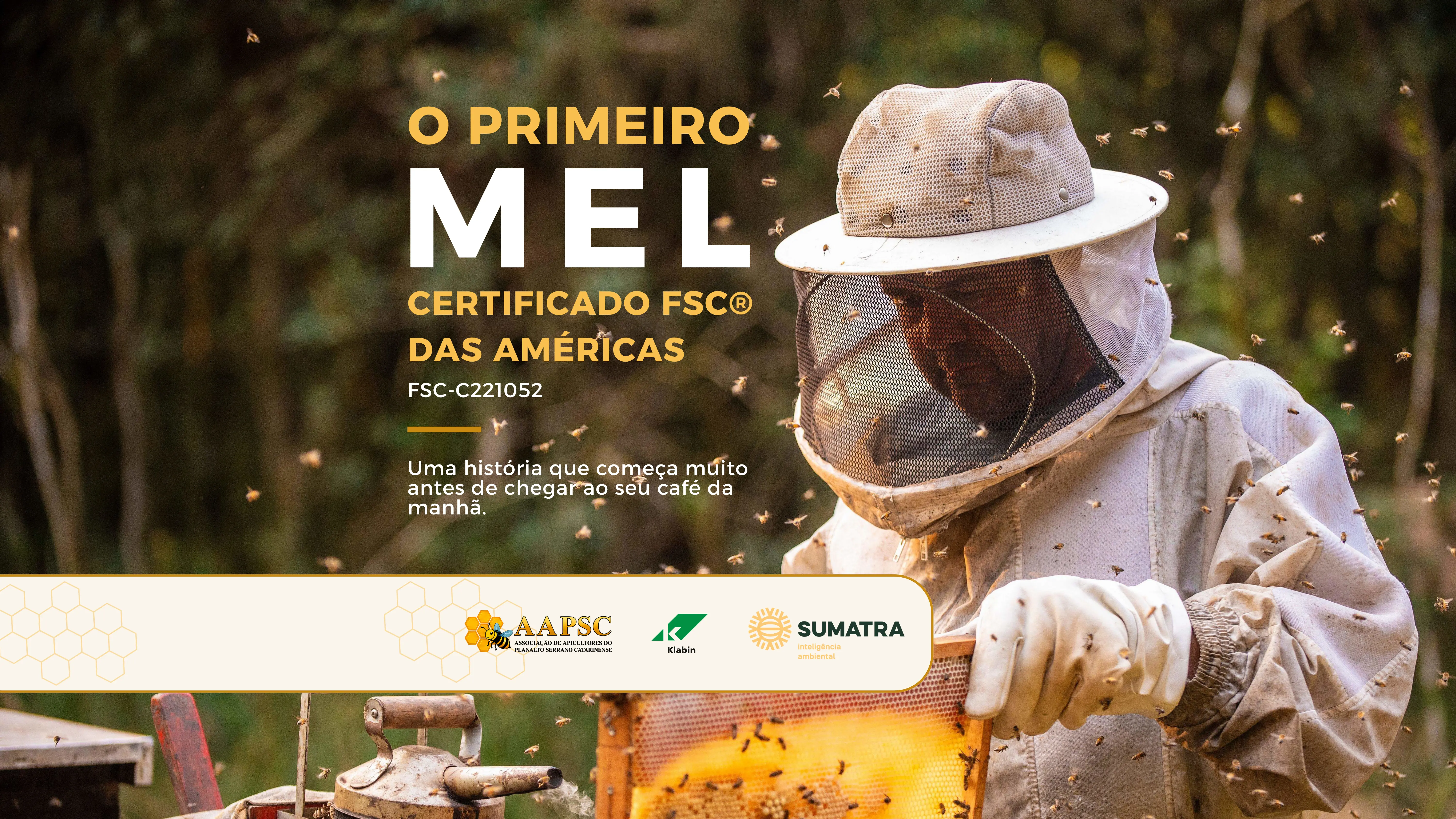 Geral Primeiro Mel Certificado FSC® (FSC-C221052) das Américas marca novo capítulo para os Produtos Florestais Não Madeireiros